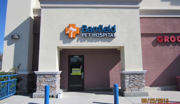 Banfield Pet Hospital - Torrance, CA