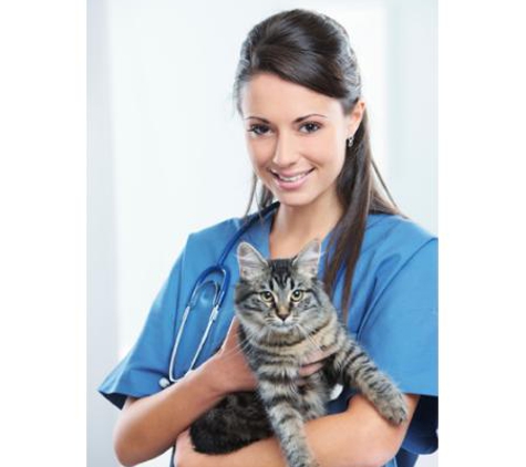 Clifton Hill Veterinary Clinic - Clifton Hill, VIC