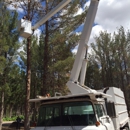 The Tree Boss - Tree Service