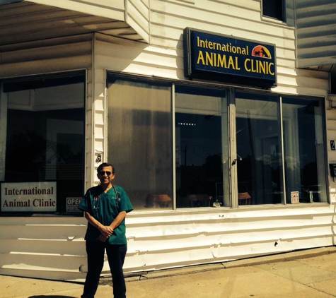 International Animal Clinic - Springfield, MA