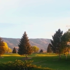 Royal City Golf Course