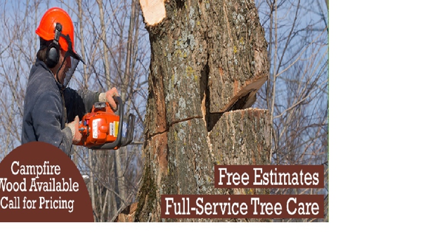 Tom's Tree Service - Wenonah, NJ