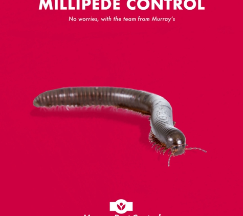 Murray Pest Control - Jamestown, SA