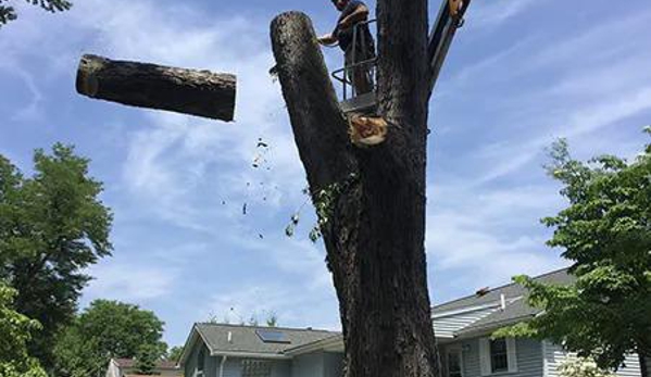 Top Notch Tree Care