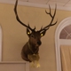 Elks Lodge