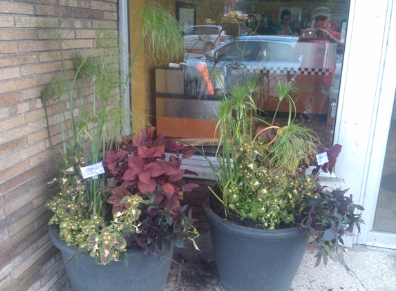 The Sweedish Gardener - Ferndale, MI. Pot Arrangments