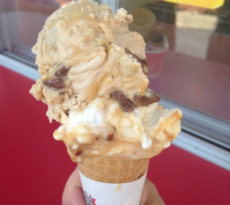 Bruster's Real Ice Cream - Fayetteville, GA