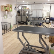Gallery Image Number 4