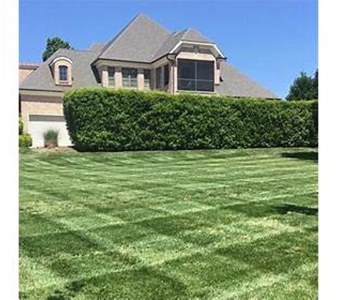 Canopy Lawn Care Raleigh