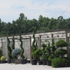 Payne Nursery gallery