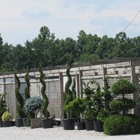 Payne Nursery