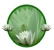 The Floating Lily Natural Therapy - Meditation