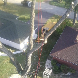 Brown's Tree Service