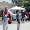 American Black Belt Academy gallery