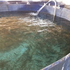 Hickling's Fish Farm Inc