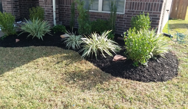 Hastings Curb Appeal - New Caney, TX