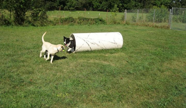 Woodbine Hill Kennel - Huntley, IL