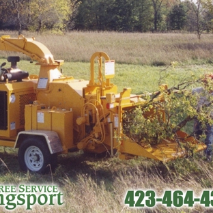 Tree Service Kingsport - Kingsport, TN