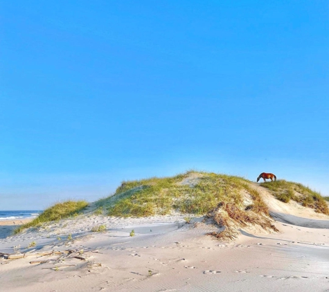 Wild Horse Adventure Tours - Corolla, NC