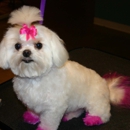 The Paw Spa Pet Salon & Boutique - Pet Grooming