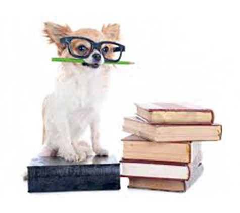 Peninsula Vet Care - Rosebud, VIC