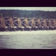 Dardanelle Lock & Dam