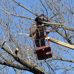 J & L Tree Service