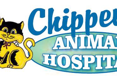 Chippewa Animal Hospital 3850 Chippewa St, Saint Louis, MO 63116 - 0