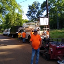 Professional 4 Life Company - Tree Service