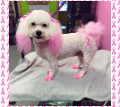 Dog Dynasty Grooming Salon - Oklahoma City, OK