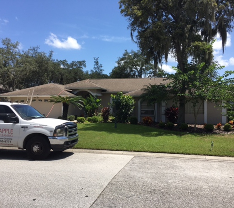 Apple Roof Cleaning Tampa Florida - Brandon, FL