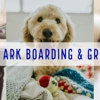 Noah's Ark Boarding & Grooming gallery