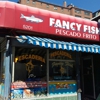 Fancy Fish gallery