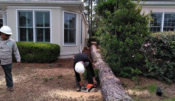 Tree Master of Savannah Inc. - Savannah, GA