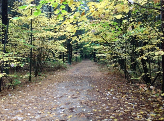 Midland City Forest - Midland, MI