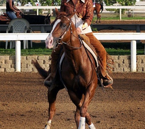 J Bar S Performance Horses - Fort Collins, CO