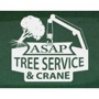 ASAP Tree and Crane Services