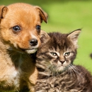 Apple Valley Animal Hospital - Pet Services