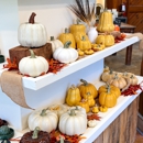 Brazos Clay - Arts & Crafts Supplies
