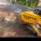 All Season Stump Grinding