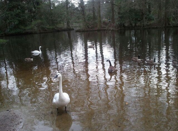 Swan Lake Iris Gardens - Sumter, SC