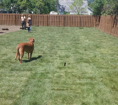 Budget Tree & Landscape - Fenton, MI. 3 of 3 Another happy customer