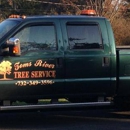 Tom's River Tree Service - Tree Service