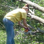 Boyd Tree Service