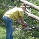 Boyd Tree Service