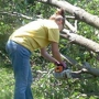 Boyd Tree Service