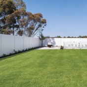 Gallery Image Number 6