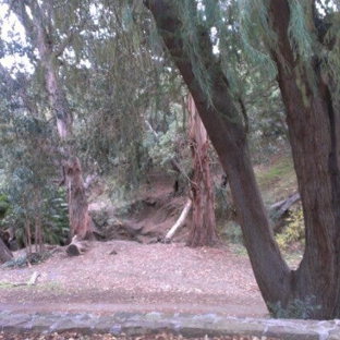 Temescal Gateway Park - Pacific Palisades, CA