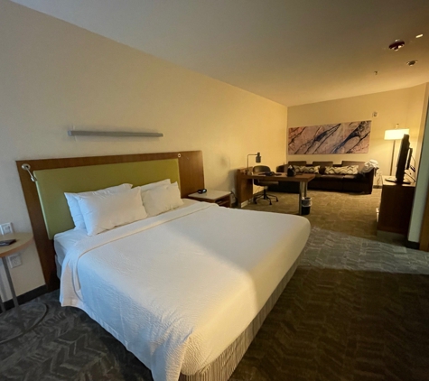 SpringHill Suites San Antonio SeaWorld/Lackland - San Antonio, TX