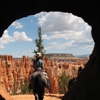 Canyon Trail Rides gallery